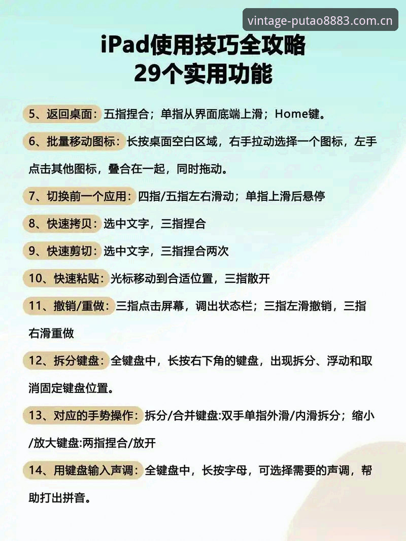 新葡萄平台经典版使用技巧教程：从下载到巅峰对战的完整指南