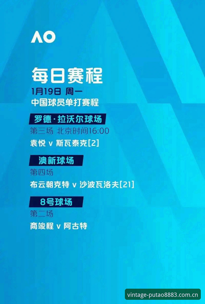 世界杯观赛受阻实用指南：签证困境下的观赛策略与平台选择